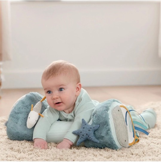 TUMMY TIME WTTW BLUE